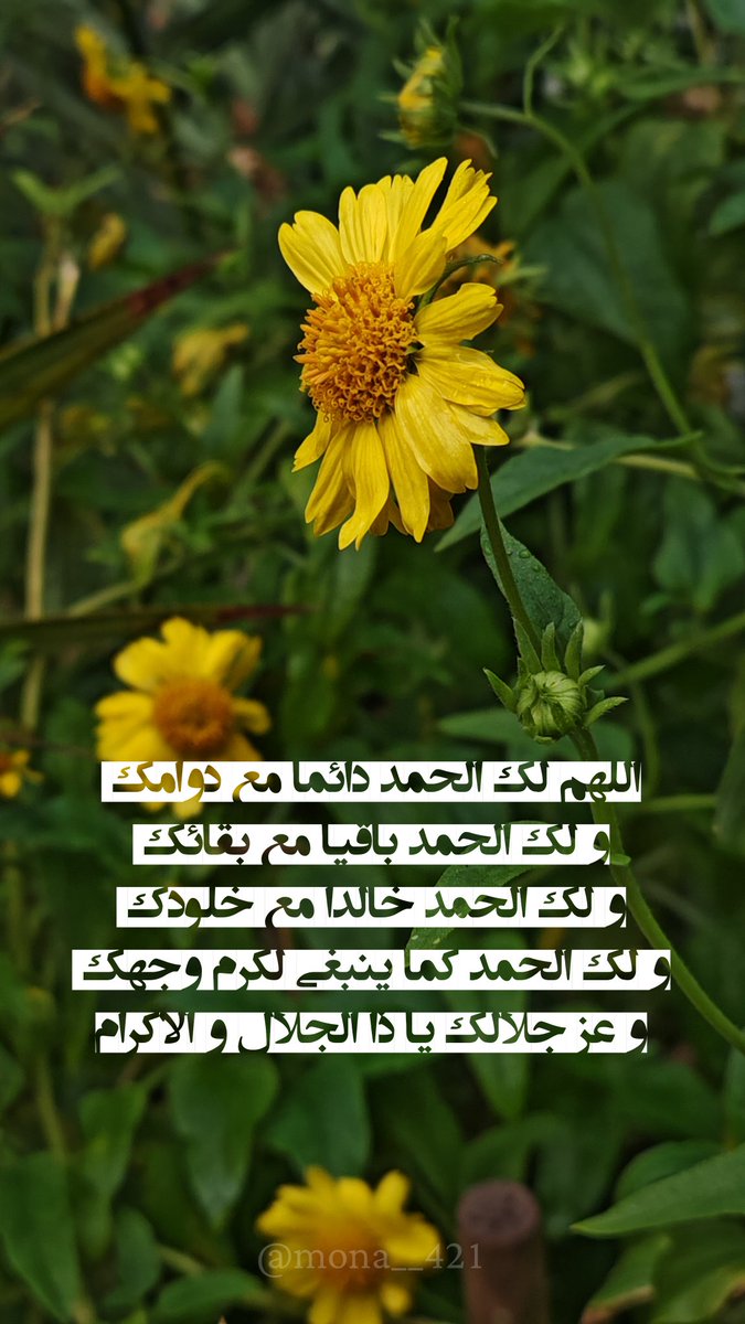 mona__421's tweet photo. الحمدلله 🌼❤️

#الحمدلله https://t.co/KKZDQVBLe8