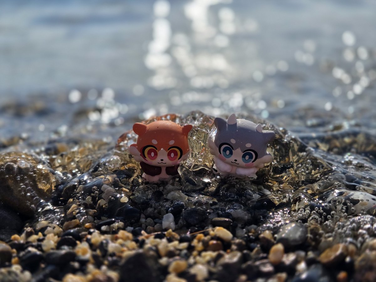 mochidatta's tweet photo. 海だよ！ハニちゃん！ヤシちゃん！あーーーっ https://t.co/NCvFt28K2U