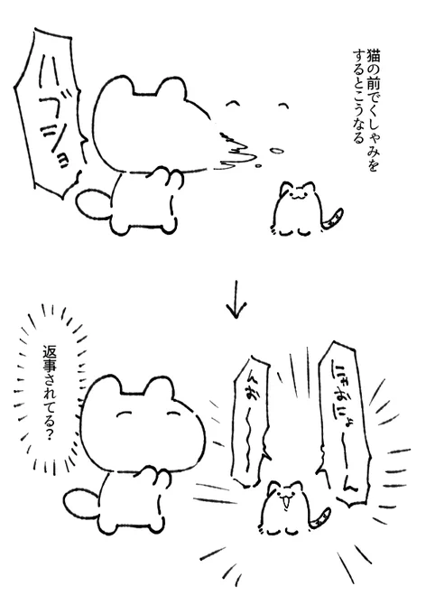 猫 