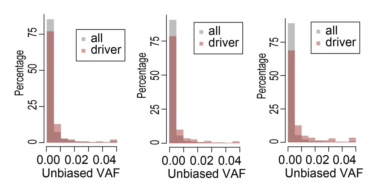 LupinCambridge's tweet photo. One major aim of this work was to test whether #human #epithelioids preserve the #clonal complexity of human tissues. Using #NanoSeq, we analysed  #somatic #mutations in #epitheliods generated from multiple epithelial human tissues and found they remained strongly #polyclonal. https://t.co/4VV9SWzuyw