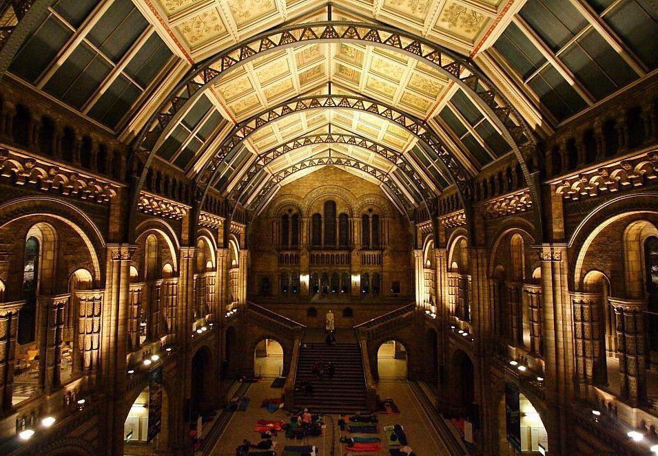 RainsOnMars's tweet photo. NHM (National History Museum) ที่อังกิด ตอนนั้นไปอีเวนต์ dinosnore ได้ไปนอนค้างคืนในมิวเซียม สนุกมาก มีบรรยาย มีเล่นเกม มี event ทั้งคืน เขาจะมีเปิดบาง section ให้ไปเดินดูได้ด้วย แล้วเนื่องจากคนไม่เยอะมาก บางจุดเลยเหมือนเดินอยู่คนเดียวในมิวเซียม https://t.co/kl2m8W2RQC