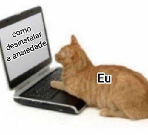 gatinarios's tweet photo. https://t.co/APObC5AOhv