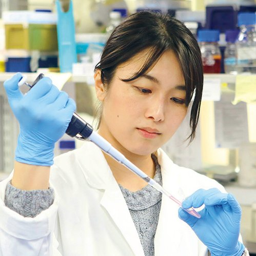 Coinvo's tweet photo. HOLY SMOKES: 🇯🇵 Japanese scientists have seemingly deleted the extra chromosome causing Down Syndrome! 🤯 https://t.co/nGjk6FGFp4