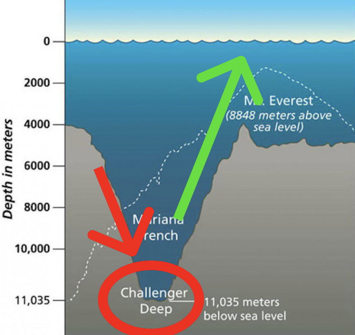 BitMEX's tweet photo. Its all gonna be up from here https://t.co/UJJt2ay5uV