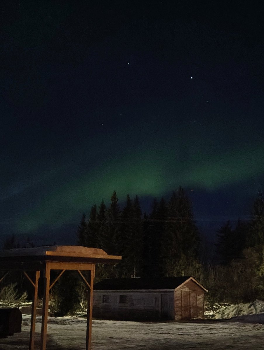 JasonMethystine's tweet photo. April 2025 Aurora Borealis
#Fairbanks #Alaska #NorthernLights

View from Billie's Backpackers Hostel https://t.co/zq31y4q8dh