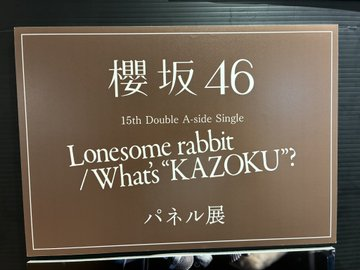 櫻坂46】 #森田ひかる ちゃんセンター🌸✨ 『Lonesome rabbit/What's