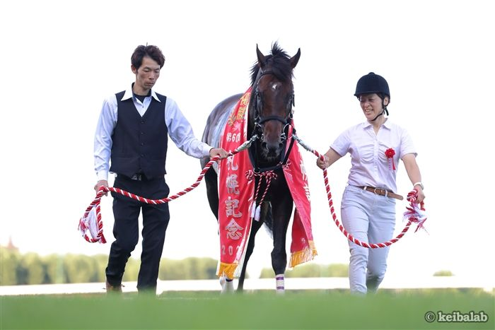 keibalab's tweet photo. 【ありがとうノースブリッジ】
ノースブリッジ
North Bridge
(牡8、美浦・奥村武厩舎)
父モーリス
母アメージングムーン
母父アドマイヤムーン
伯父ローレルゲレイロ
近親ディープボンド
#ノースブリッジ #引退 
https://t.co/71pkpTerLt https://t.co/1POHOdaGDK