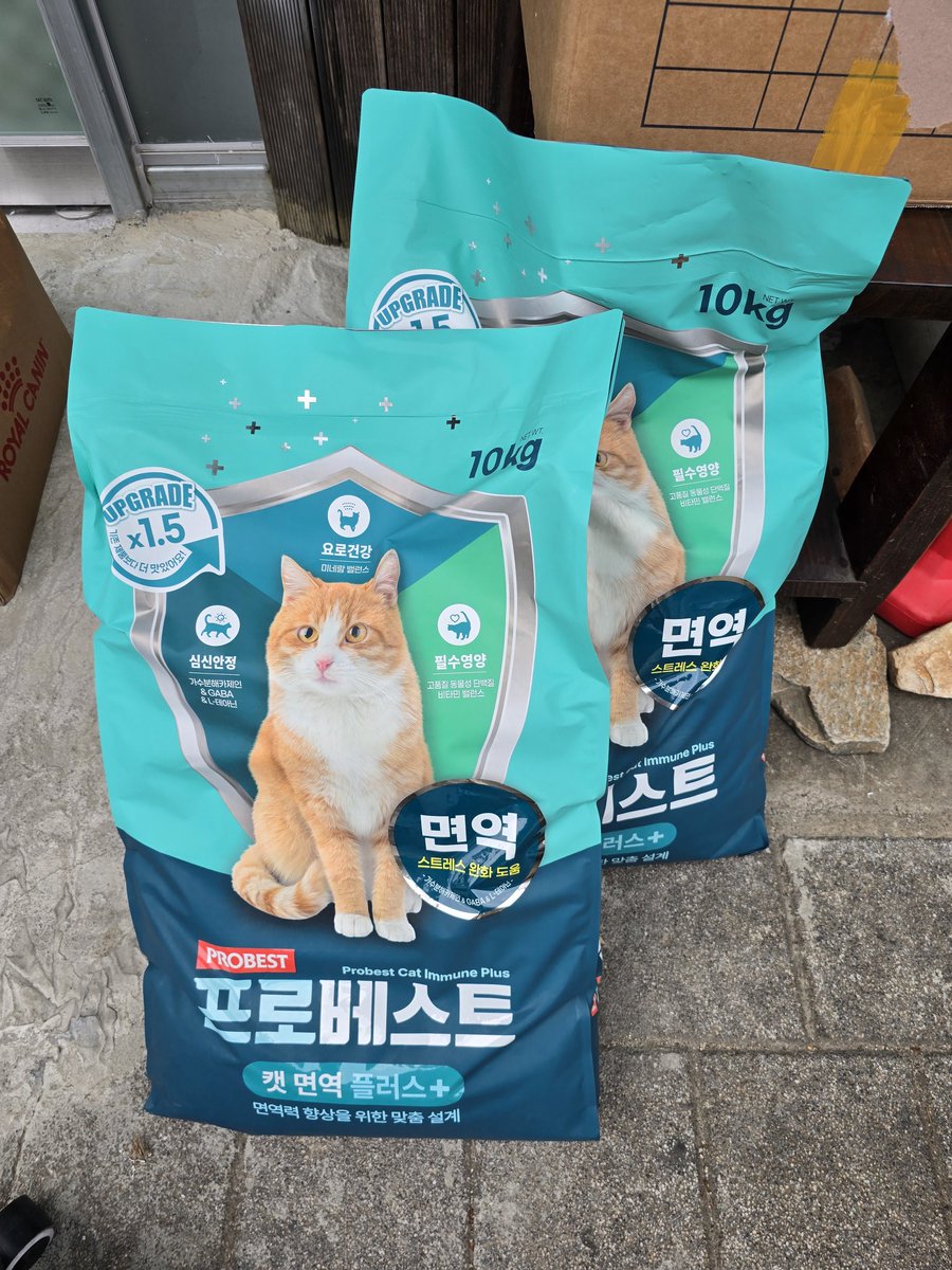 sinchunsug97804's tweet photo. 이사에 이어 아이들 먹거리가
떨어져서 글을 드렸어요.
여러분들께서 이리 많이 보내
주셨어요.
감사 드립니다.
잘 먹이며 돌볼께요.
모두 건강 하세요. https://t.co/zJ7QGeZp3w