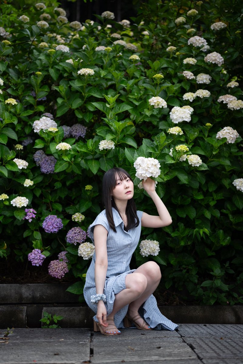 rito_6327's tweet photo. 紫陽花綺麗だった❁⃘*.ﾟ

#portraitphotography
#キリトリセカイ https://t.co/pAcdTmq6h0