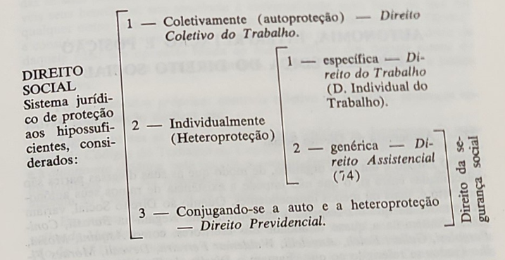 dan2conta's tweet photo. @guilh3mre @BrunoGabrieladv Divisão do Direito Social (stricto sensu), por Cesarino Jr ainda em 1980: https://t.co/gFO9kbm4yg