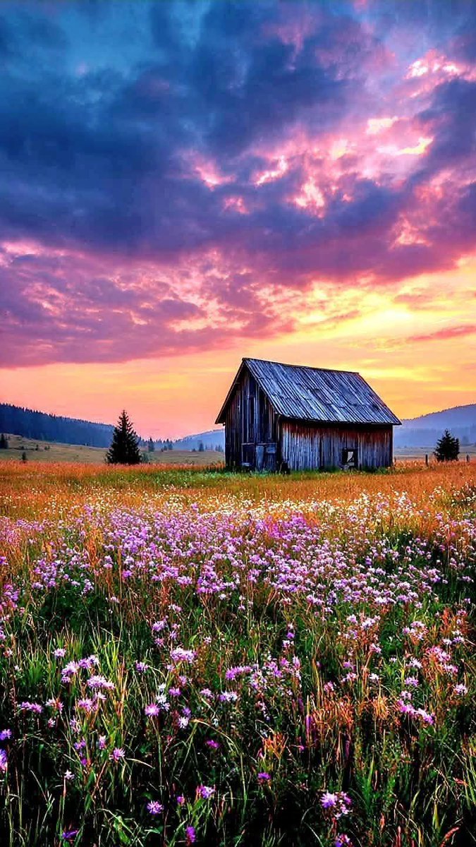 silviafelix011's tweet photo. Wonderful Wednesday, dears! 🩷🧡💛💜 https://t.co/0TgDAm9Noy