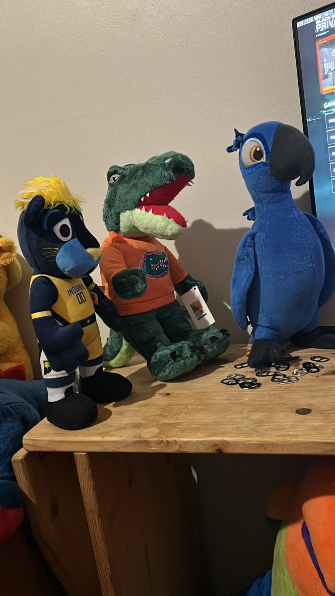 PlushDragonPack's tweet photo. 2 Mascots &amp; A Parrot https://t.co/8oNVJUpK8A