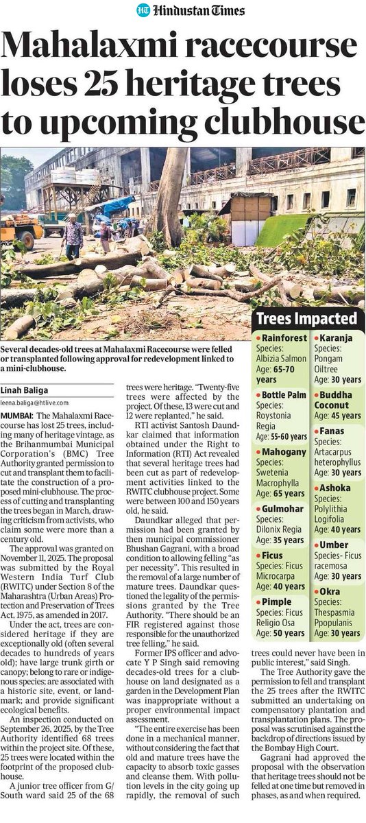 SanSip's tweet photo. The blithe disregard for trees never fails to shock and disappoint, especially in a sweltering metropolis like Mumbai. https://t.co/UtTbtXevVj