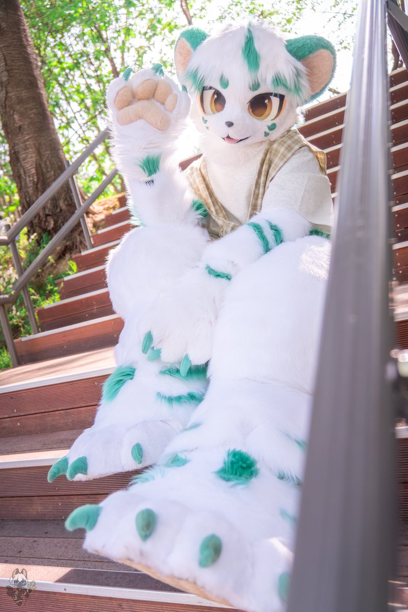 Jadetiger_RYU's tweet photo. 산책하러 갈래?

#FursuitEveryday https://t.co/SmD5xN2gxQ
