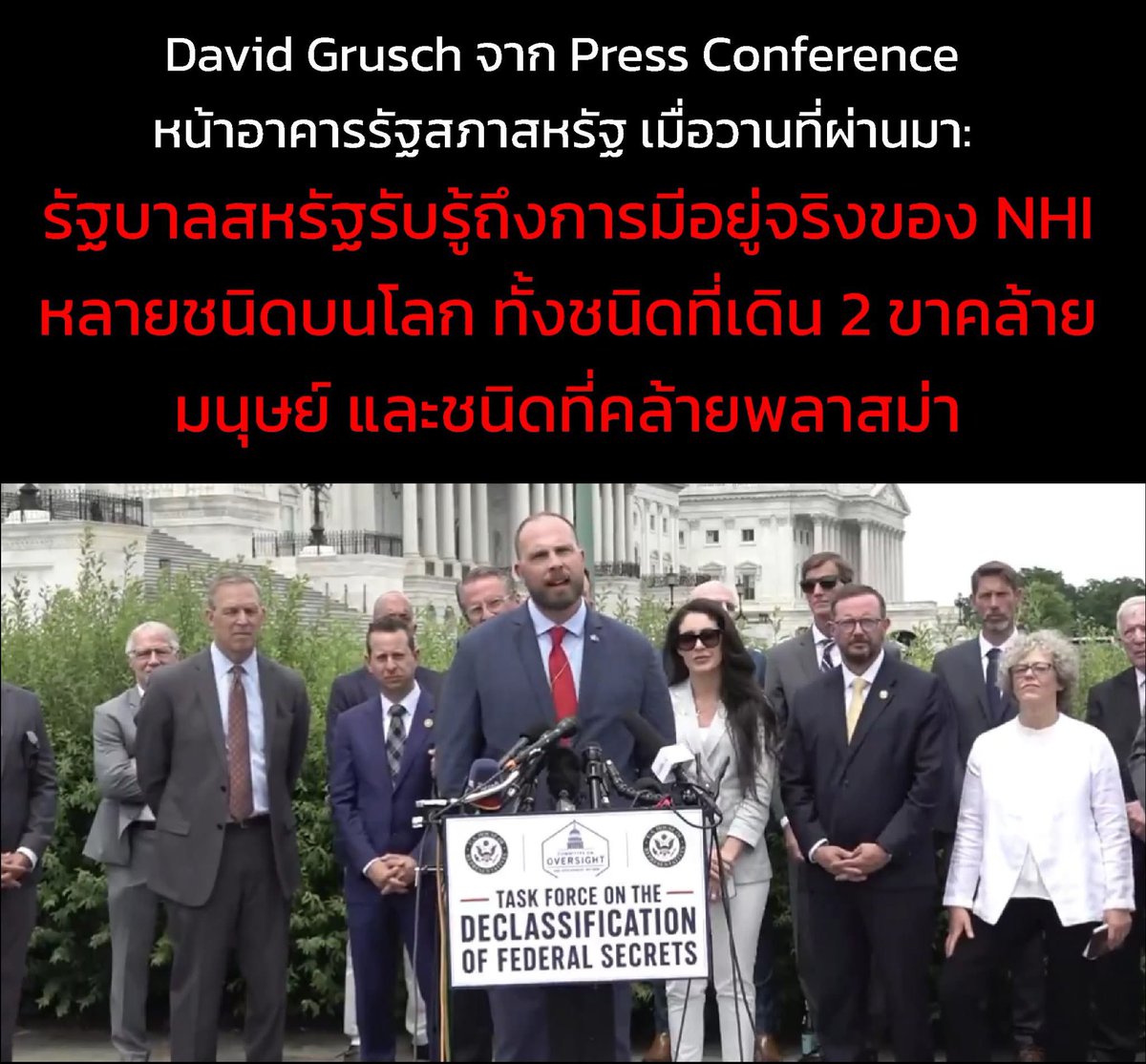 แมวส่องโลก tweet media
