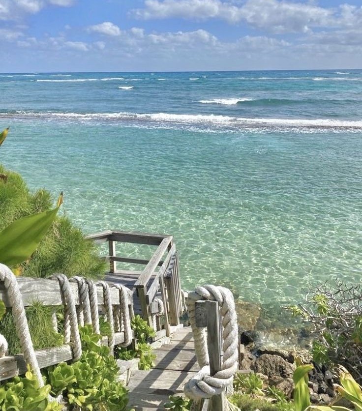 silenttearthh's tweet photo. coastal life https://t.co/PhIlOJApWC