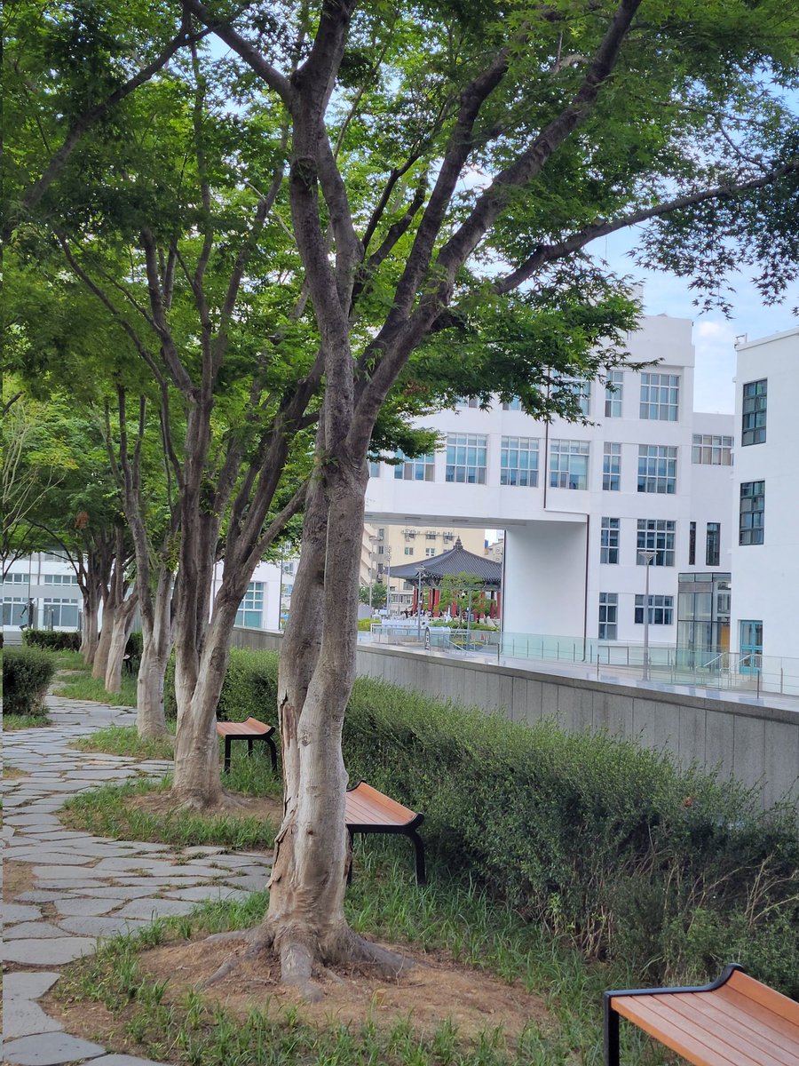 7lgh7's tweet photo. 국립아시아문화전당〰️〰️‼️
항상 깨끗하게 관리가 잘되어 
갈때마다 평화롭고 여유있음😋
쬬기 민주의 종각도 보임~👀😊 https://t.co/J4PQVPepL3