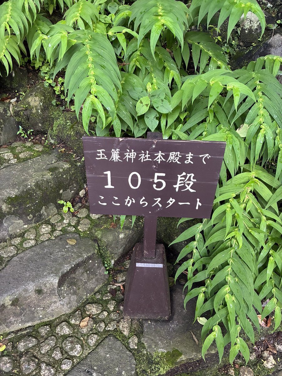 yuk2580's tweet photo. 温泉良すぎてポスト忘れてた
お昼ご飯も美味しいし
庭園と滝も綺麗だった
スタンプラリーも中々歩いて楽しかった
晴れてたらもっとよかった https://t.co/bs15d3DSaJ