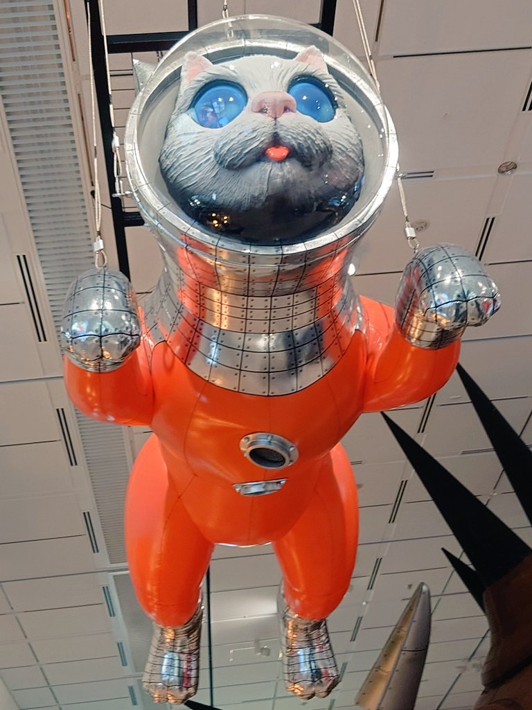 BOKU6ROCK's tweet photo. ヤノベケンジさんのSHIP’S CATが気になってたので、
大阪中之島美術館に行きました！

色々ダイナミックで良い刺激を受けました！
行って良かった！ https://t.co/OF7YxDzRNE