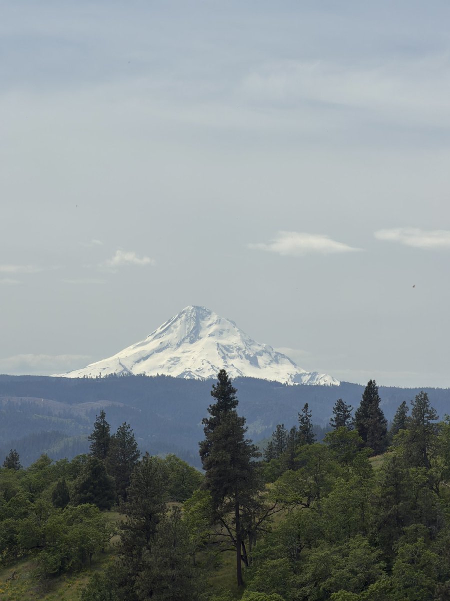 steppejake's tweet photo. Mountain Hood https://t.co/owAeh06NQL