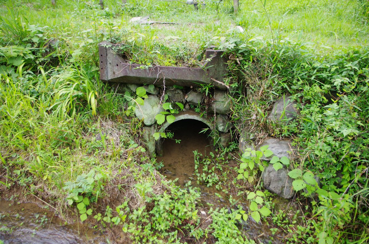 hapi44's tweet photo. 横沢入の戦車橋です。戦車ではなく試作牽引車(93式試作牽引車？)のフレームではないかと言われています。下に土管を入れられ橋としての使命は終えています。 https://t.co/ol23fi3f7s