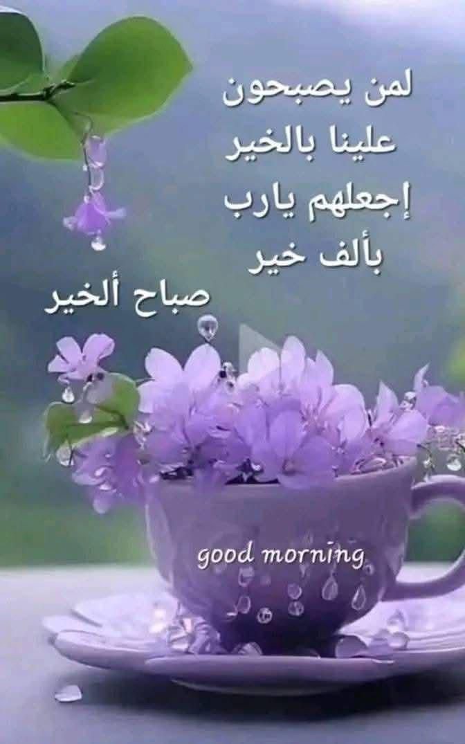mdabbour11's tweet photo. @kayan812202 https://t.co/OMNTp0IbOO