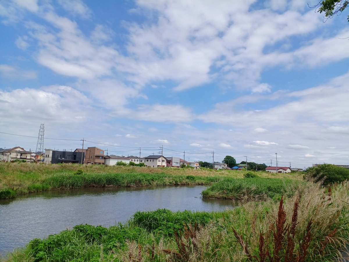 torosso7's tweet photo. こんにちはー(*^^)v
今日の埼玉は雲が多いですが間から少し青空が見えるようになってきました。
午後も頑張っていきましょー！
 #イマソラ https://t.co/DF1XgoDot9