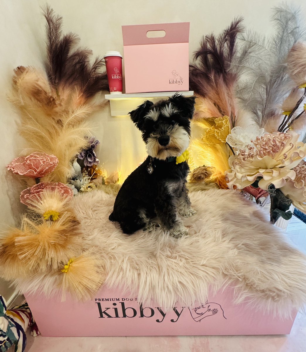mai1005arai's tweet photo. 麻布十番にある
kibbyy  https://t.co/qSBOPKX6NY

というお店でお手伝いさせて
いただいております💓✨🙌

早速、麻布十番で働いてる
まいふれんどが来てくれましたー♡
ありがとうー♡ 

そして、そのタイミングで
ご来店してくれた
デニーロちゃんと、デニーロちゃんママさんも
ありがとうございましたー✨

可愛すぎてたくさん撮らせていただいちゃった📸🌟
(承諾いただき載せてます☺️)

ねーもう！可愛すぎるて🖐️✨
デニーロちゃん！
ニヒル😏な顔やばい💕

愛犬家のみなさまー♡
かわいいわんちゃんと
お待ちしてまーす♡

にんげんの皆様もお待ちしてまーす♡

あ！お店のご紹介！✨
中国茶を使ったミルクティーと
グルテンフリーの米粉のカップケーキ🧁
のお店です✨

オーガニックなので、
ワンちゃんや赤ちゃんも食べられます♡

次回は
6/12(金)11:00〜13:00にいまーす❣️
遊びにきてねー✨

#kibbyy
#麻布十番