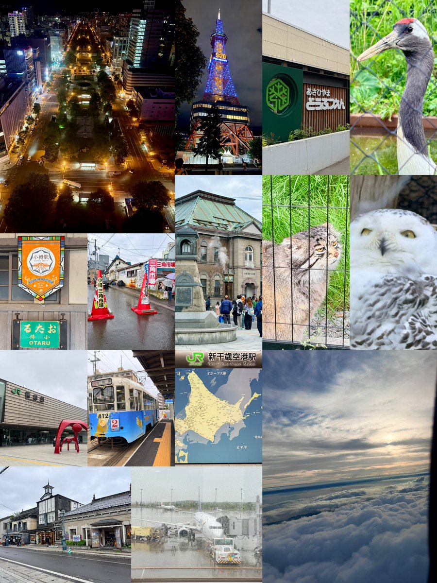kitada725's tweet photo. 47都道府県制覇3か所目
北海道旅行に行ってきました！！
初日は函館コナン聖地巡り、2〜4日目は小樽,札幌,旭川へ
毎日美味しい＆楽しかった😋 https://t.co/KXZF7pU6bv