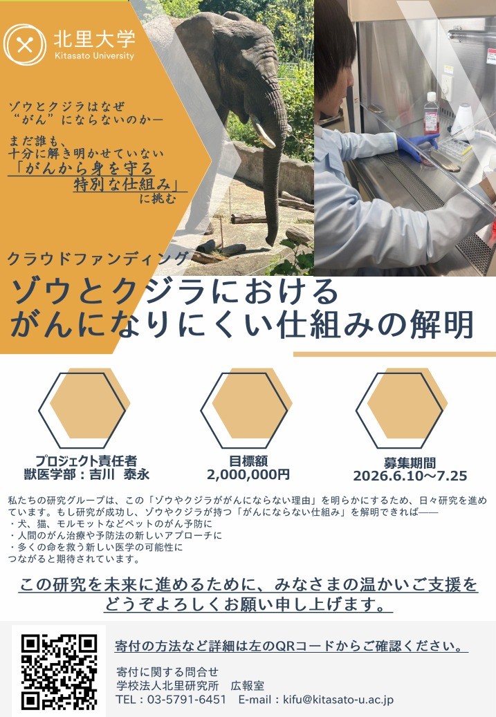 KitasatoUniv's tweet photo. 獣医学部の吉川泰永准教授の研究グループが、新たながん予防の確立を目指し、「ほとんどがんにならない動物」であるゾウやクジラが持つ細胞の仕組みを解き明かす研究を進めるため、クラウドファンディングを実施しています。
皆様のご支援をよろしくお願いします。
https://t.co/mpqmREaFwR

#北里大学 https://t.co/HBFNVzlyua