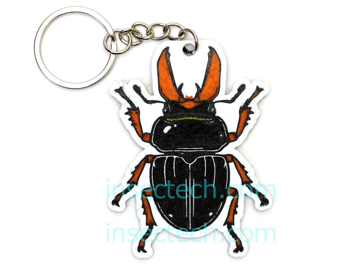 insectech's tweet photo. minne 
https://t.co/sSVYS66pXB
オリジナル昆虫チャーム9種類追加！  

・ミヤマクワガタ（茶・赤） 
・ゲンゴロウ（黄・茶） 
・コロフォン・プリモス 
・ヤマトタマムシ 
・ハンミョウ 
・チャイロマルバネクワガタ 
・コオロギ漢字  

虫フェスⅥでも販売予定！ https://t.co/OyLTnRg50x