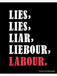 DrAliceMeachem's tweet photo. @CLRenney So the same party that promised no Capital Gains Tax, but wants half a capital gains tax, is saying what again? Ya pommy git https://t.co/6SZHwkJxKu