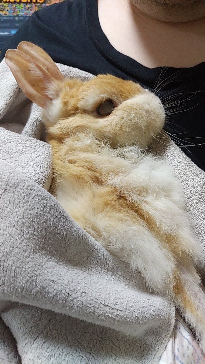 gentle92429's tweet photo. いっちゃん、昨日6/9の夜から食事とうんぴが半分量に。元気なく夜中を過ごしました。
6/10朝一で受診🏥
レントゲンと血液検査の結果、腸の消化吸収機能低下が著明で老衰の終末期とのこと😢

ただこのままではなく、ビタミン剤とたんぱく質を微量に補給する治療方針に。
流動食は無理のない量でと。 https://t.co/VNaNfT77YZ