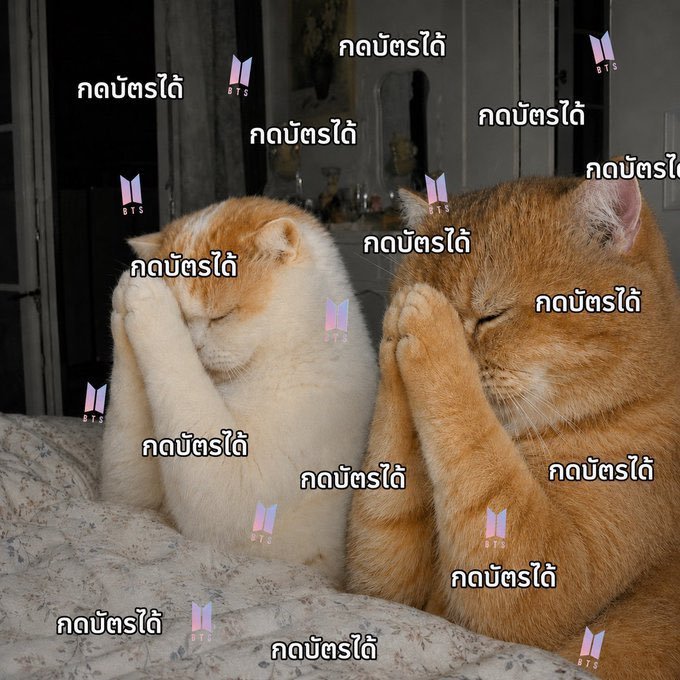 nongjira( Englot) tweet media