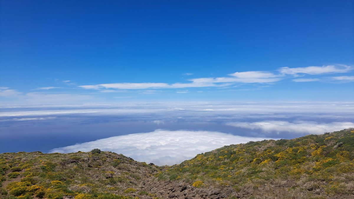 Radio_Luz_'s tweet photo. Roque de los Muchachos, Villa de #Garafía ✨🌿 #LoNatural 🪻 #LaPalma [📸 Toño Castro] https://t.co/ELe7fhw5Zd