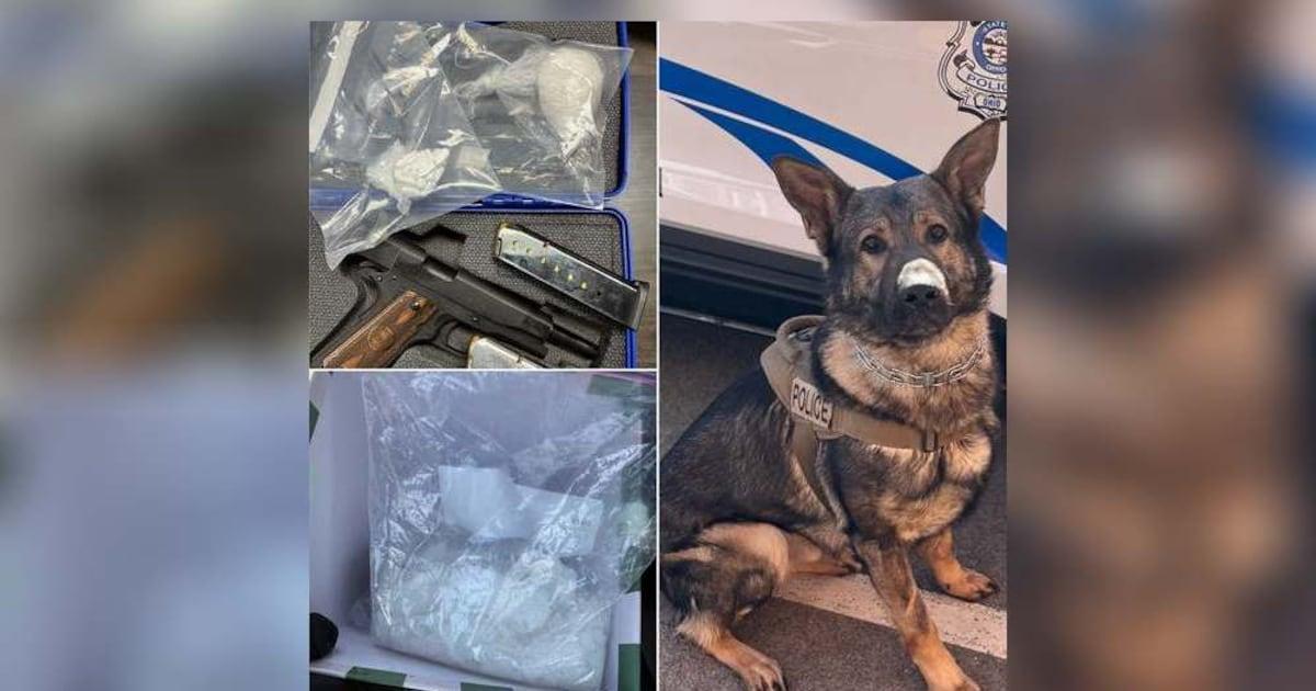 Several arrested after K-9 finds drugs, guns during multiple traffic ...