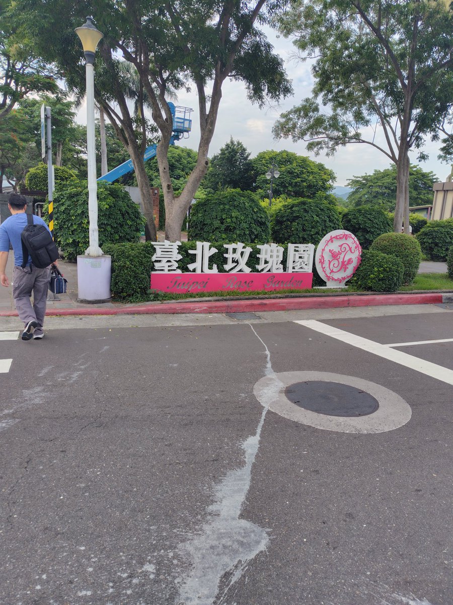 choco_galU's tweet photo. 台湾滞在記🇹🇼

台北玫瑰園に行った。薔薇が好きなので！

わたしが訪れたのは5月末だったので、さすがにシーズンが終わっていて薔薇はほとんど萎びていた。ちょっと残ってたやつを撮った📸

でもこの感じ、良い季節に行ったらきっとすごい景色だと思う！いつかまた。 https://t.co/BR6sB5Rnb2