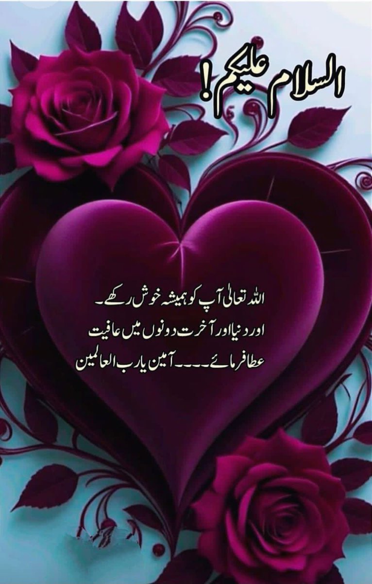 🇵🇰🇵🇸🇹🇷 عمر سرور tweet media