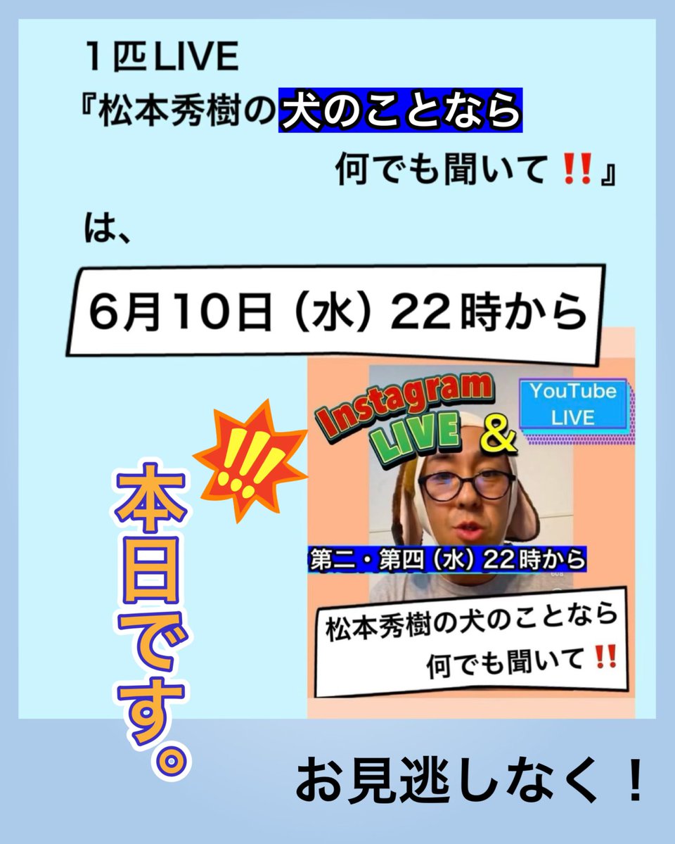 松本秀樹(ポチたまの松本くん) tweet media