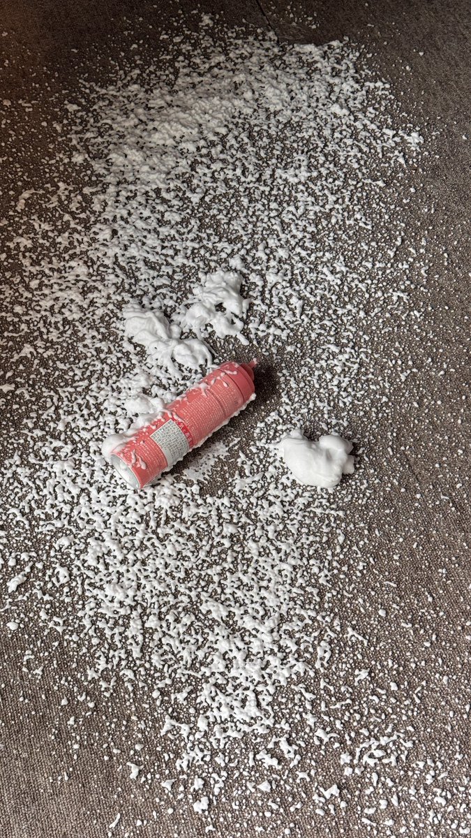 d_boyai's tweet photo. ラブラドールと暮らすという事は、隙があればすぐ破壊されるという、仁義なき戦いである。 https://t.co/qSR41Lv5l8