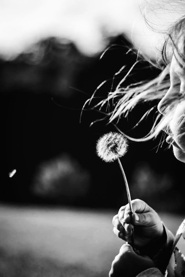DrUlgenMert's tweet photo. Bir çürümenin ortasında 
Utancımıza tutunmuş 
İyi şeyler düşünerek 
Yaşamaya çalışıyoruz.

________________ günaydın! 🌸🙂‍↔️☀️ https://t.co/40JwhTN259