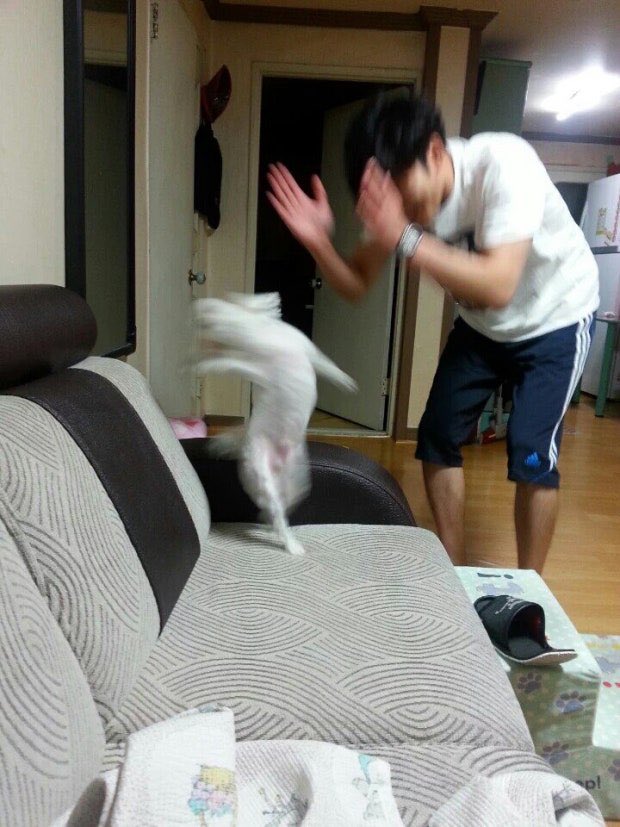 carc0710's tweet photo. 쿵빠쿵쿵빠에서 은호 둘러싸고 우쭈쭈 하는 부분 다소 이거 같다고 생각함 고등학생 손주 재롱 보는 느낌..? https://t.co/WRWqgOAqhS