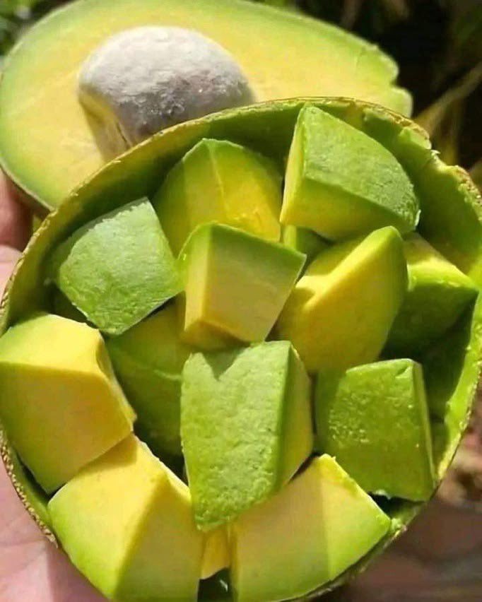 shiluvankuna's tweet photo. The only fruit that makes sense 🥺🤤 https://t.co/HjP6WFo5MX