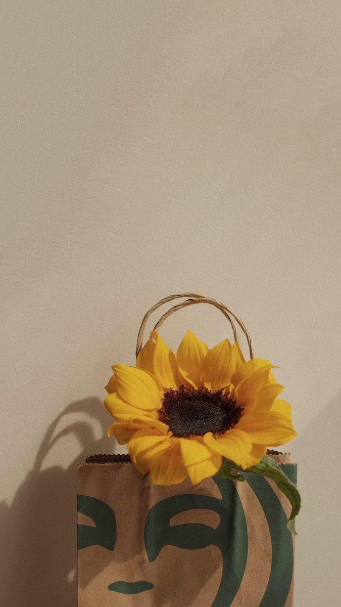 driftwithme's tweet photo. 👊 🌱 🤌 There’s something nice about waking up early. It really helps clear my mind. 🏖️ https://t.co/5g2g6y1SrM