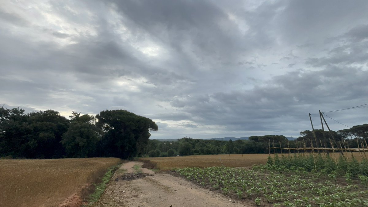 Martonapm's tweet photo. Disminuint precioitació #Sils @soniapapell @gemmapuigf @alexmegapc @3CatInfoelTemps @meteorac1 @meteocat @tempsdemeteo @meteobarrufet @aemet_cat @marcsilvestre7 @seguimlameteo @SergiLoras @eltemps_rtve @mauri_francesc @aquilatierratve #TotEsMou3Cat @BtvEltemps #ElTemps3Cat https://t.co/VzgU39m6sB