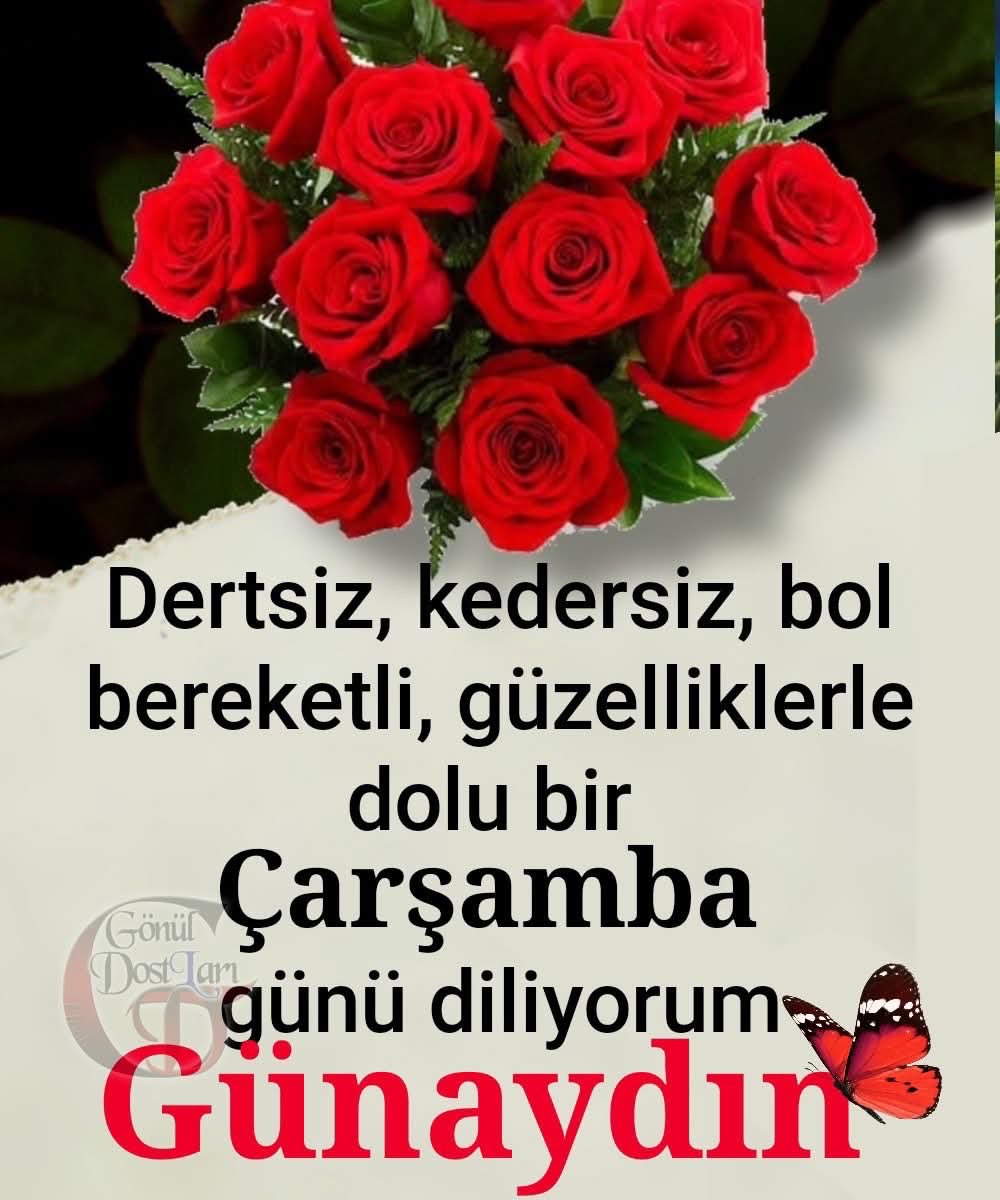 ysfarafta's tweet photo. #çarşamba 
#günaydın 
Dertsiz kedersiz bol gülümsemeli bereketli bir gün olsun
Herkese Günaydın https://t.co/yNr9ReO6Bl