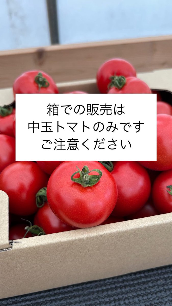 たけもと農園 (@kWdkaRNn9WLZ91P) / Posts / X
