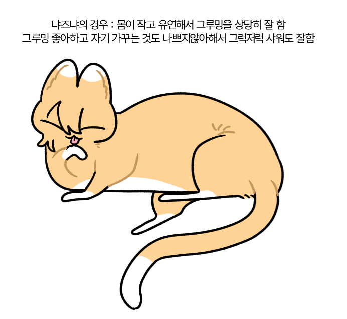 S2_kaosom's tweet photo. 그루밍 라빗츠 편 https://t.co/pmAZb5lYeM