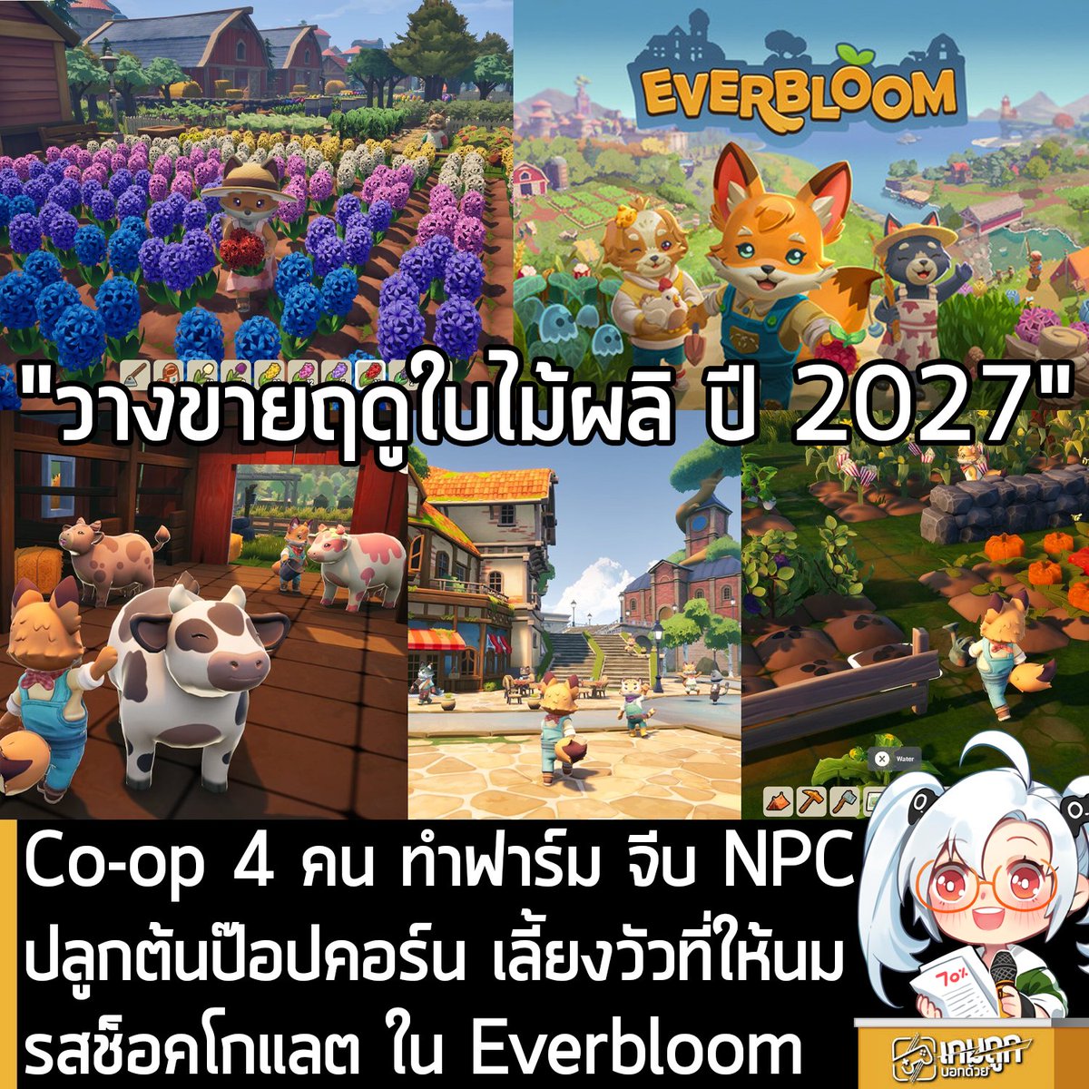 sheapgamer's tweet photo. [News] Co-op 4 คน ทำฟาร์ม จีบ NPC ปลูกต้นป๊อปคอร์น เลี้ยงวัวที่ให้นมรสช็อคโกแลต ใน Everbloom 
.
Torbie ประกาศอย่างเป็นทางการว่า Everbloom เกม Co-op 4 คน ทำฟาร์มปลูกผักสุดชิลในบรรยากาศแสนอบอุ่น ที่เปิดโอกาสให้คุณพบเจอกับของแปลกๆ อย่างต้นป๊อปคอร์น หรือวัวที่ให้นมรสช็อคโกแลต กำลังจะวางจำหน่ายบน Steam และ Nintendo Switch 2 ในช่วงฤดูใบไม้ผลิ ปี 2027 (มี.ค. - พ.ค.) 
.
Everbloom คือเกมทำฟาร์มชิลๆ กึ่ง Social Sim ที่มีฉากหลังในโลกแฟนตาซี ที่คุณสามารถปลูกต้นไม้ที่ให้ผลออกมาเป็นป๊อปคอร์น และรีดนมรสช็อกโกแล็ตจากวัวด้วยการให้ขนมได้ ที่คุณจะได้ปลูกผัก ดูแลสัตว์ สร้างบ้าน และสำรวจโลกของ Everbloom แบบคนเดียวหรือกับเพื่อนก็ได้ 
.
ฝันให้ไกลแล้วไปปลูกผัก ฟาร์มของคุณ คุณจะเปลี่ยนให้มันเป็นแบบไหนก็ได้ ด้วยระบบปรับแต่งแบบอิสระที่คุณจะได้สร้างอาคาร จัดสวน และทำมุมพักผ่อน ในเกมที่การทำฟาร์มจะได้ผลลัพธ์ตามจินตนาการของคุณ ถ้าพริกที่ปลูกไม่เผ็ดพอก็ลองจุดไฟเพื่อเร่งให้มันเผ็ดขึ้นก็ได้นะ 
.
ระบบสัตว์เลี้ยงที่คุณจะได้คัดเลือกสายพันธุ์เพื่อส่งต่อยีนพิเศษให้รุ่นลูกต่อไปได้ เพราะฉะนั้นการเลี้ยงวัวนมรสช็อกโกแล็ตและวัวนมรสสตรอว์เบอร์รีไม่ใช่ความฝันอีกต่อไป
.
เกมทำฟาร์มแบบเล่นคนเดียวบางทีก็เหงา เพราะฉะนั้นหาเพื่อนมาช่วยทำฟาร์ม และเข้าร่วมกิจกรรมในชุมชนเพื่อเปลี่ยนฟีลในการเล่นบ้างก็ดี แชร์ทรัพยากร ร่วมมือกันทำงางน และเพลิดเพลินไปกับอีเวนต์ชุมชนไปด้วยกันเพื่อสร้างประสบการณ์โต้ตอบต่อกันอย่างแท้จริง
.
ออกสำรวจโลกเปิดกว้างที่สร้างขึ้นมาอย่างประณีตที่ทุกๆ เส้นทางจะนำพาไปยังการค้นพบใหม่ๆ จากเมืองที่คราคร่ำไปด้วยผู้คนไปจนถึงป่าอันชุ่มชื้น สวนผลไม้ที่ซ่อนอยู่ และถ้ำลึกลับ ค้นพบความลับและเรื่องราวของแต่ละพื้นที่ 
.
ในโลกของ Everbloom อาหารรสชาติอร่อย สูญหายไปนานมากๆ แล้ว ด้วยการที่คุณเป็นหน้าใหม่ของเมืองนี้ คุณจะต้องค้นหาและนำรสชาติที่สูญหายไปกลับมาสู่โลกนี้ พบปะกับตัวละครที่หลากหลาย สร้างความสัมพันธ์ ช่วยเหลือเพื่อนบ้าน ชวนชาวเมืองที่ถูกใจไปเดท จะเป็นส่วนสำคัญในการสร้างชุมชนที่จะเติบโตด้วยการมีส่วนร่วมของคุณ 
.
ฟีเจอร์ของเกม
- สร้างทุกอย่างตั้งแต่เฟอร์นิเจอร์ อาคาร อุปกรณ์และเครื่องมือต่างๆ
- ออกสำรวจโลกและตกปลาที่หลากหลาย
- ผสมผสานเครื่องปรุงและวัตถุดิบเพื่อให้ได้อาหารแสนอร่อย
- ผสมผสานเมล็ดสีเพื่อทำให้ดอกไม้สีสันแตกต่างกันเติบโตอย่างสวยงาม
- ผูกมิตรกับชาวเมือง ที่แต่ละคนจะมีเรื่องราวและความลับของตัวเอง
- ไปเดทกับชาวเมืองและผูกสัมพันธ์จนกลายเป็นความรัก
- ปรับแต่งตัวละครของคุณได้หลากหลาย ตั้งแต่ชนิดของสัตว์ สีสัน และเสื้อผ้า 
.
สำหรับผู้ที่สนใจ Everbloom สามารถเข้าไปกด Wishlist ไว้ก่อนได้ที่หน้าร้านค้า Steam