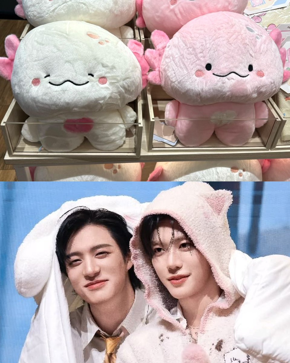 asinisnisa's tweet photo. เหมือนโน่กับแจมมาก55555 สำเนาถูกต้อง ✅ https://t.co/qKZgQAtGL9
